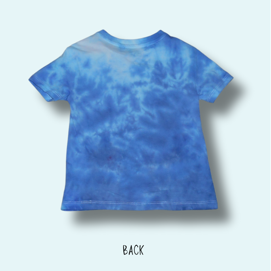 KAZZA RAZZA 2RN233-Antarctica-Sky-Ice-Tie-Dyed-Scrunch-BACK-3609.png